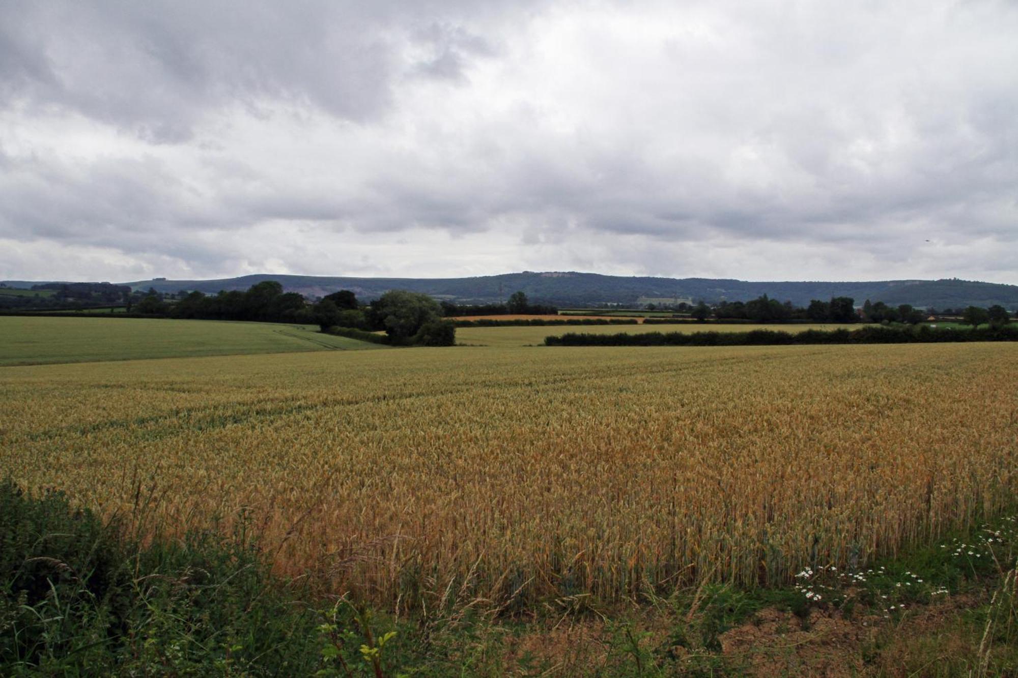 Oyo White Horse Lodge Hotel, East Thirsk Bagby Esterno foto